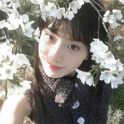 羊惧海报